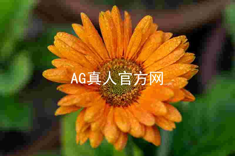AG真人官方网