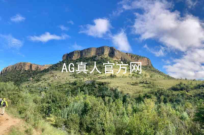 AG真人官方网