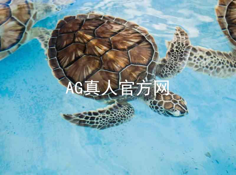 AG真人官方网